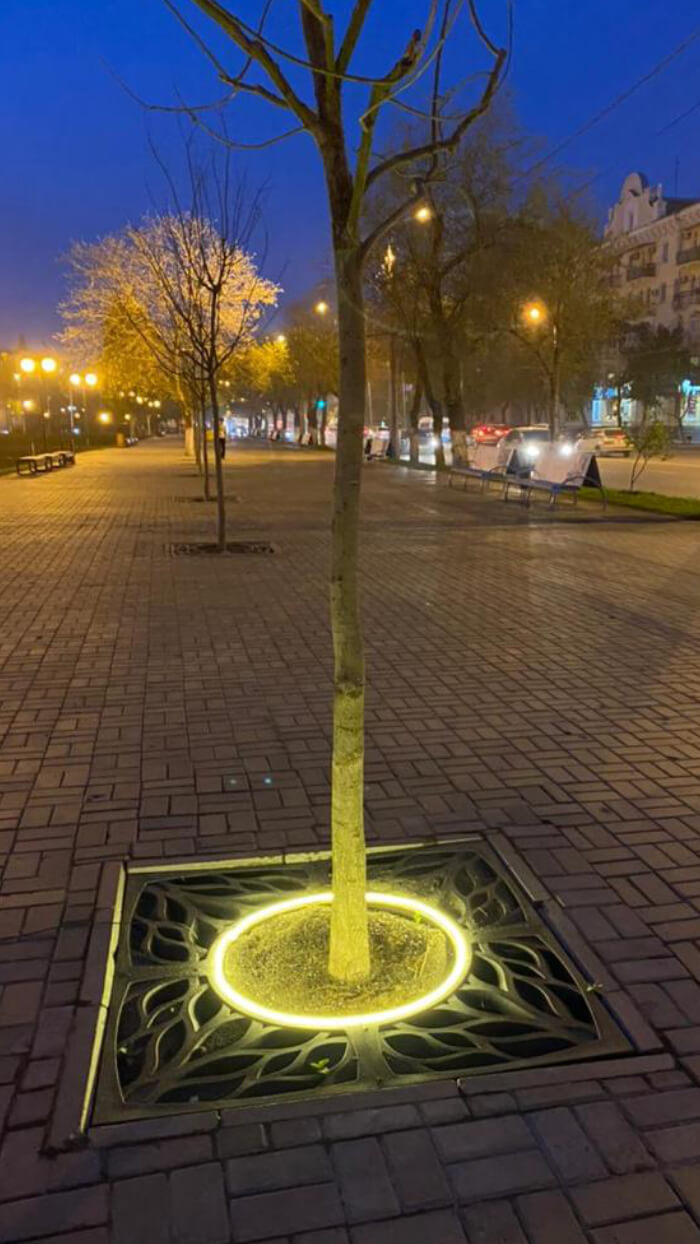 Приствольная решетка для дерева ZKING CRUST 1.2х1.2м Черная в Светлограде фото